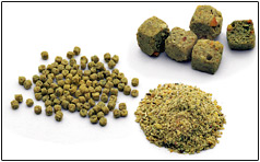 HARRISON'S� HIGH POTENCY FORMULA�